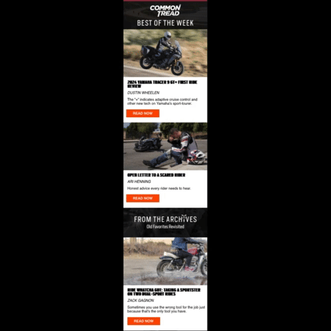Revzilla Newsletter Email